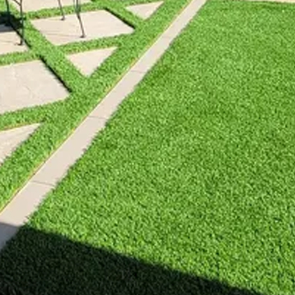 Custom paver hardscape installation in Inland Empire